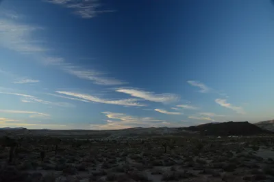 DSC_0296 (Large).JPG